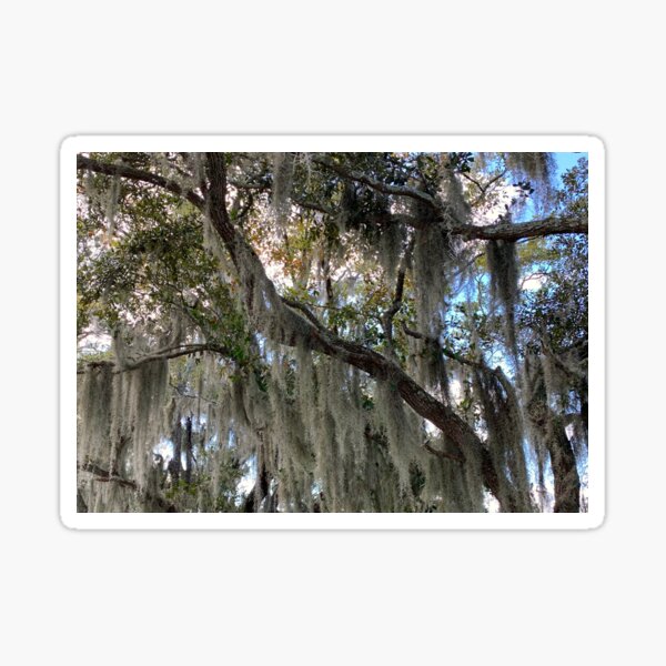 Item preview, Spanish Moss designed and sold by Ollie P.  Leo.