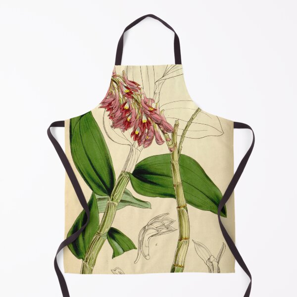 Item preview, Dendrobium secundum designed and sold by EsotericBotanic.