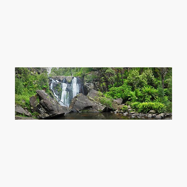 Photographic Print