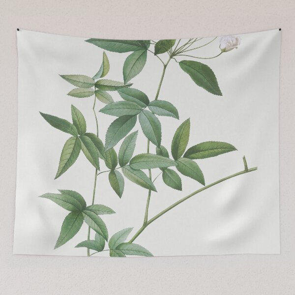 Item preview, Les Roses by Pierre-Joseph Redouté designed and sold by EsotericBotanic.