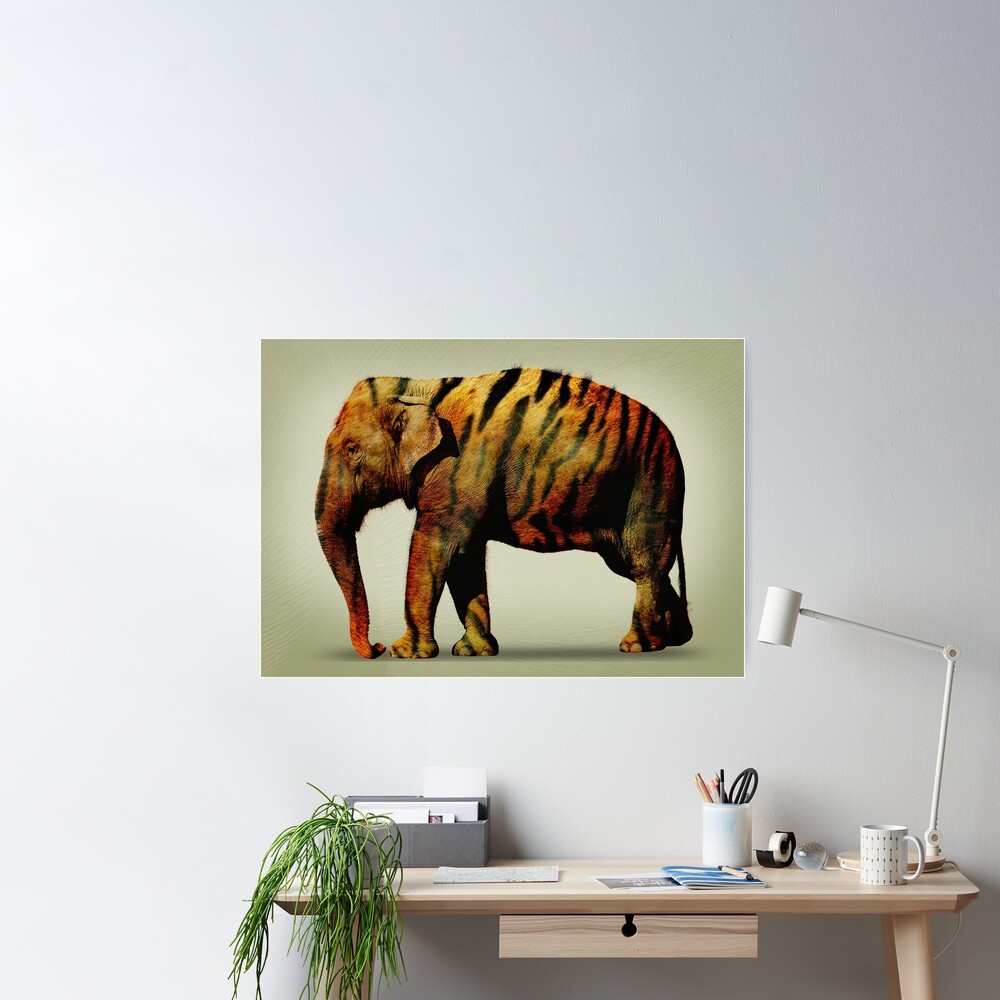 Elephant (or Tiger) In The Room