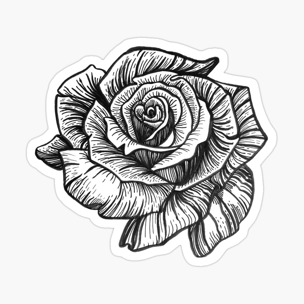 Drawialect  drawing a rose with ballpoint pen  Video   httpsyoutube3hYovbZnaXE   Facebook