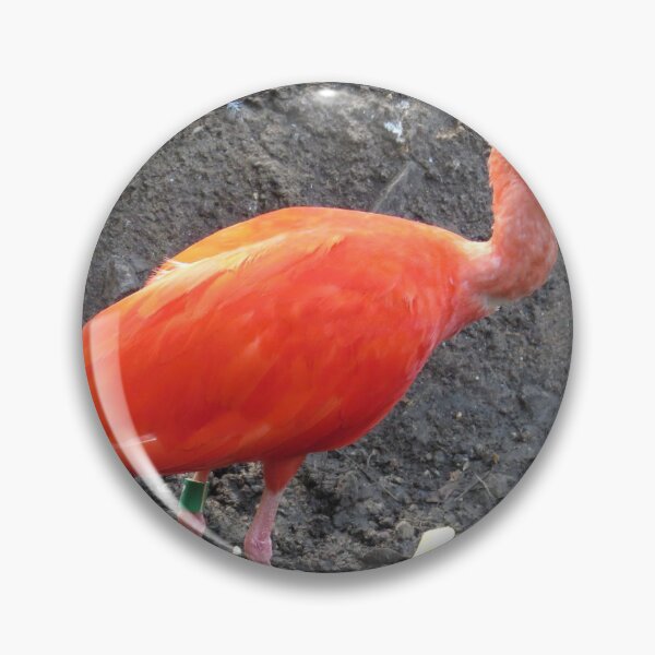 Item preview, Red Roseate Spoonbill Tropical Bird designed and sold by FlowersAndMore.