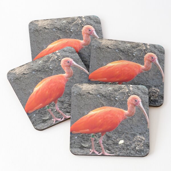 Item preview, Red Roseate Spoonbill Tropical Bird designed and sold by FlowersAndMore.