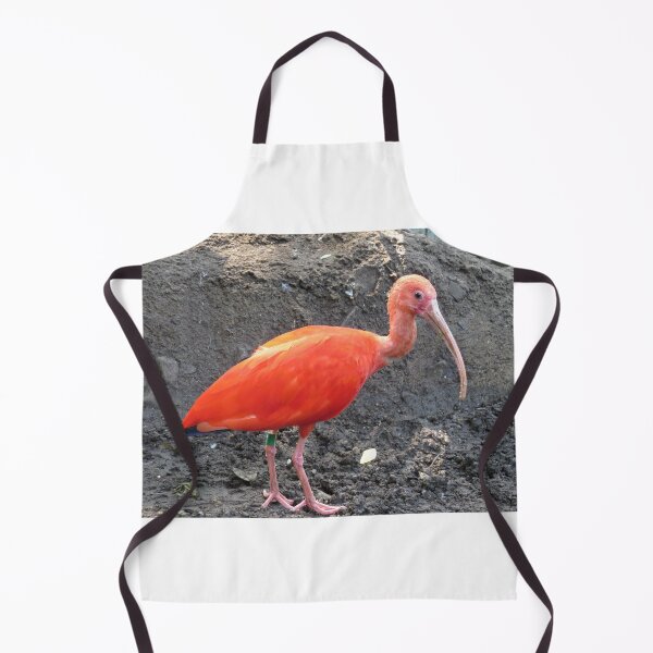 Item preview, Red Roseate Spoonbill Tropical Bird designed and sold by FlowersAndMore.
