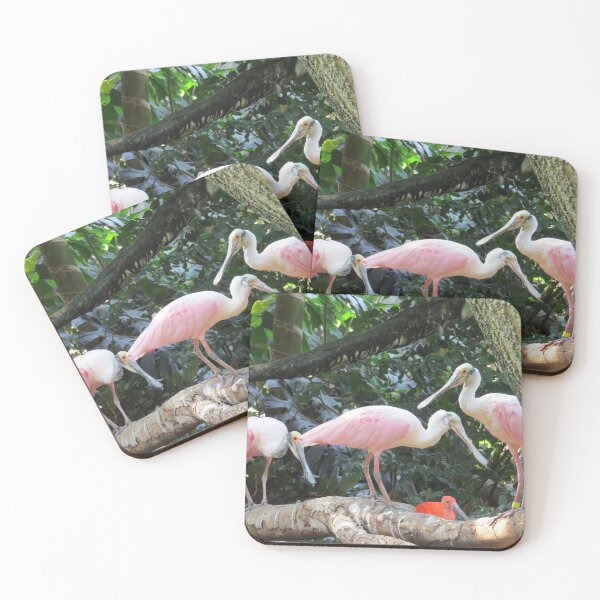 Item preview, Pink Roseate Spoonbill Tropical Birds designed and sold by FlowersAndMore.