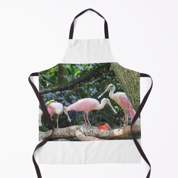 Item preview, Pink Roseate Spoonbill Tropical Birds designed and sold by FlowersAndMore.