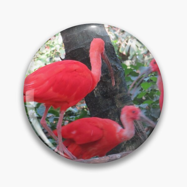 Item preview, Red Roseate Spoonbill tropical Birds designed and sold by FlowersAndMore.