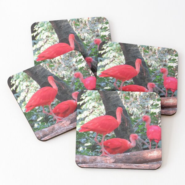 Item preview, Red Roseate Spoonbill tropical Birds designed and sold by FlowersAndMore.