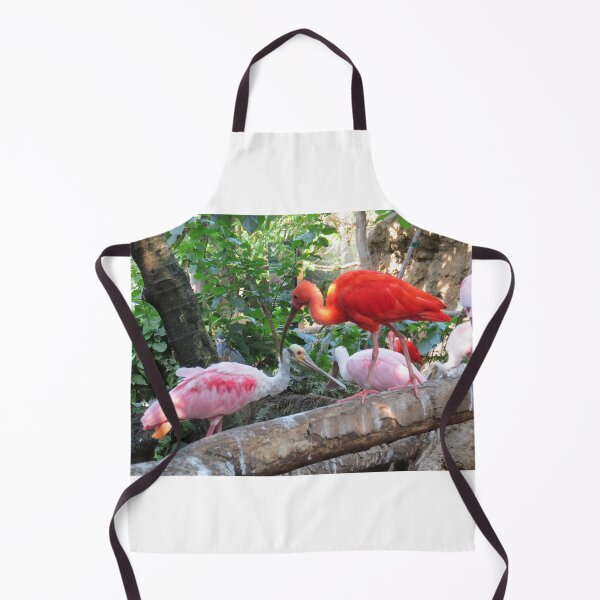 Item preview, Pink And Red Roseate Spoonbill Tropical Exotic Birds designed and sold by FlowersAndMore.