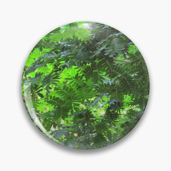 Item preview, Exotic Tropical Trees designed and sold by FlowersAndMore.