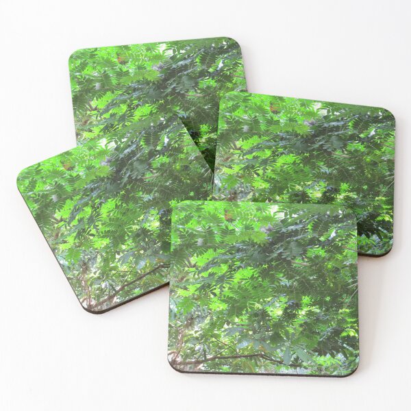Item preview, Exotic Tropical Trees designed and sold by FlowersAndMore.