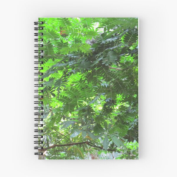 Item preview, Exotic Tropical Trees designed and sold by FlowersAndMore.