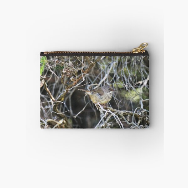 Item preview, Male White-browed scrubwren of the race maculatus   designed and sold by hendrikspix.