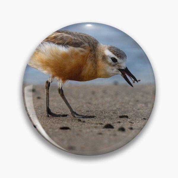 Item preview, Northern New Zealand Dotterel#3 designed and sold by DVart-nz.