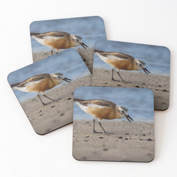 Item preview, Northern New Zealand Dotterel#3 designed and sold by DVart-nz.