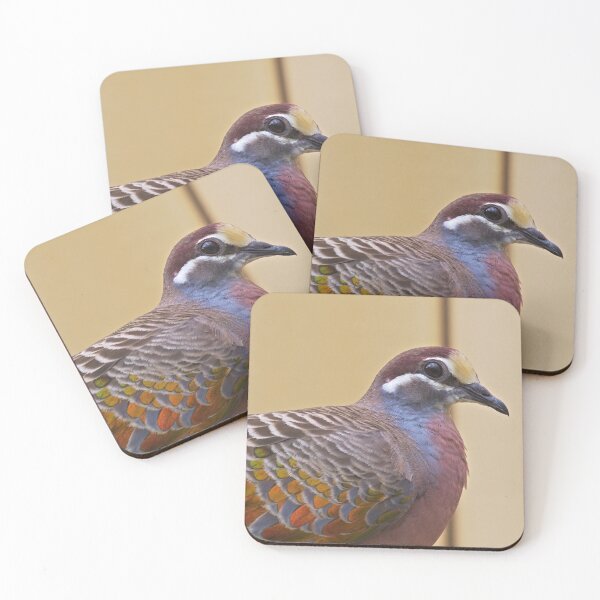 Item preview, Male bronzewing closeup photo designed and sold by hendrikspix.