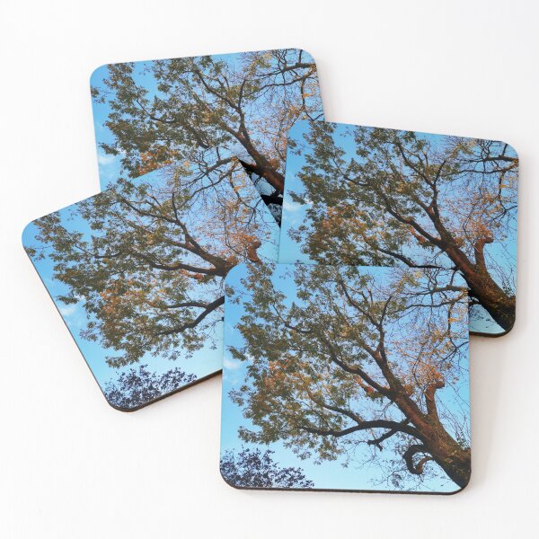 Item preview, beautiful tree designed and sold by OMdesigns93.