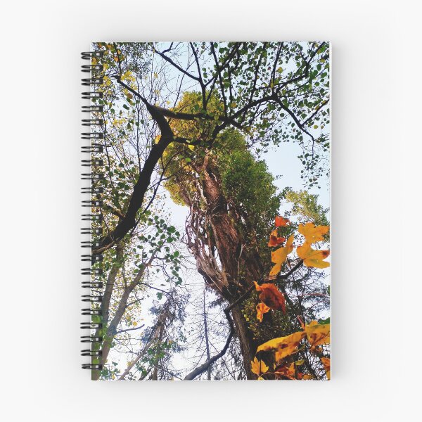 Item preview, majestic tree designed and sold by OMdesigns93.