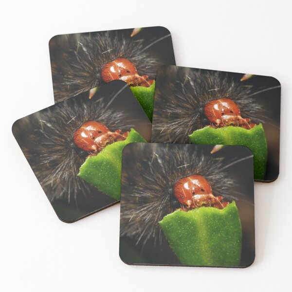 Item preview, Glatigny’s Tiger moth caterpillar macro photo designed and sold by hendrikspix.