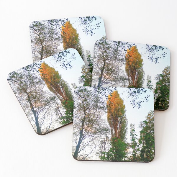 Item preview, wild park designed and sold by OMdesigns93.