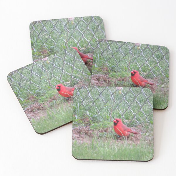 Item preview, Beautiful Male Cardinal Bird designed and sold by FlowersAndMore.