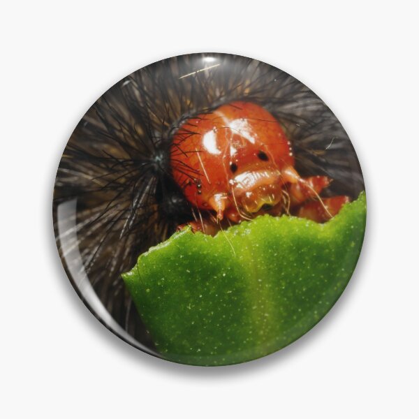 Item preview, Glatigny’s Tiger moth caterpillar macro photo designed and sold by hendrikspix.