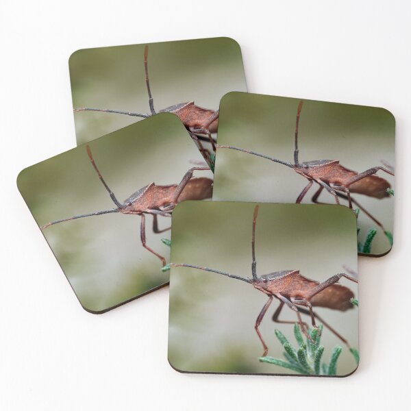 Item preview, Beautiful dock bug on plant macro photo designed and sold by hendrikspix.