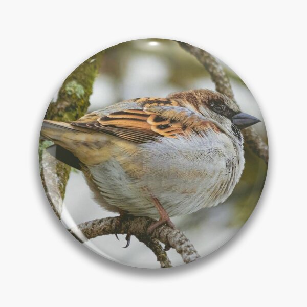 Item preview, Nature Bird designed and sold by DesignExpert01.