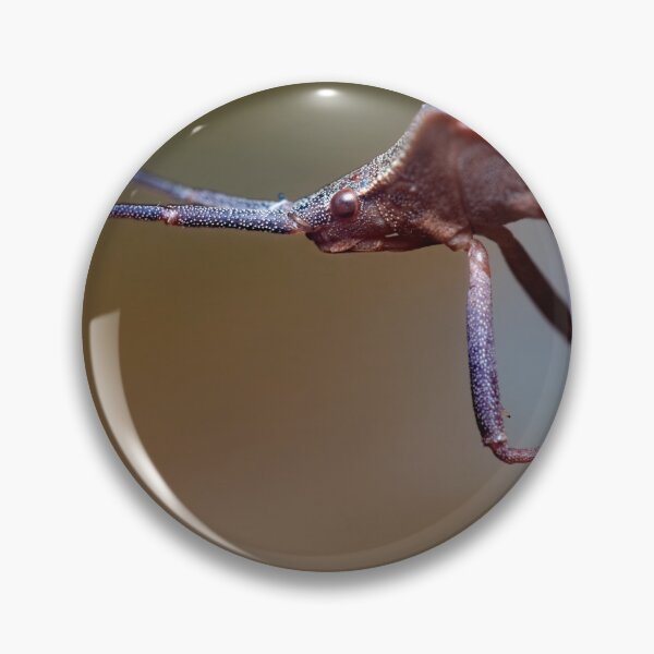 Item preview, Dock bug on plant extreme macro photo closeup designed and sold by hendrikspix.