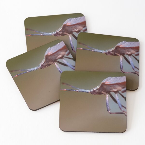 Item preview, Dock bug on plant extreme macro photo closeup designed and sold by hendrikspix.