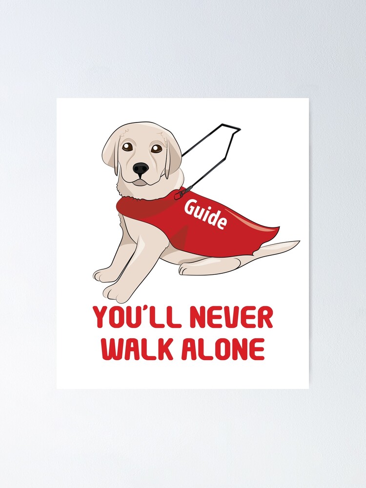 Youll Never Walk Alone Guide Dog Puppy