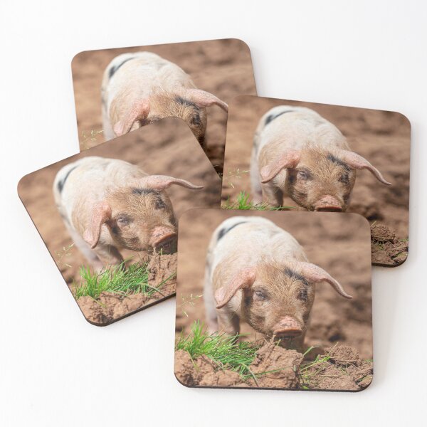Item preview, Cute Piglet designed and sold by Dalyndigital Photography.