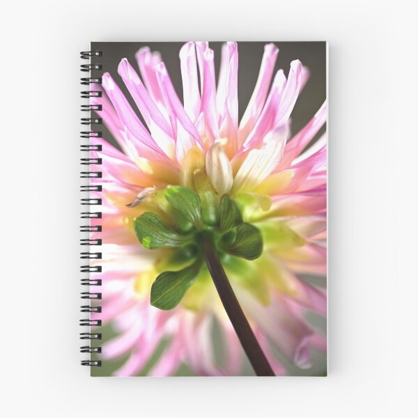 Item preview, Like A Candy Dahlia  designed and sold by Joy Watson - Natural Light Photography .