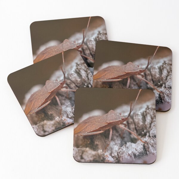 Item preview, Dock bug on a log macro photo designed and sold by hendrikspix.