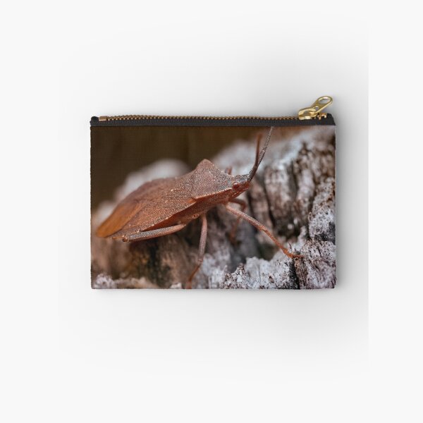 Item preview, Dock bug on a log macro photo designed and sold by hendrikspix.