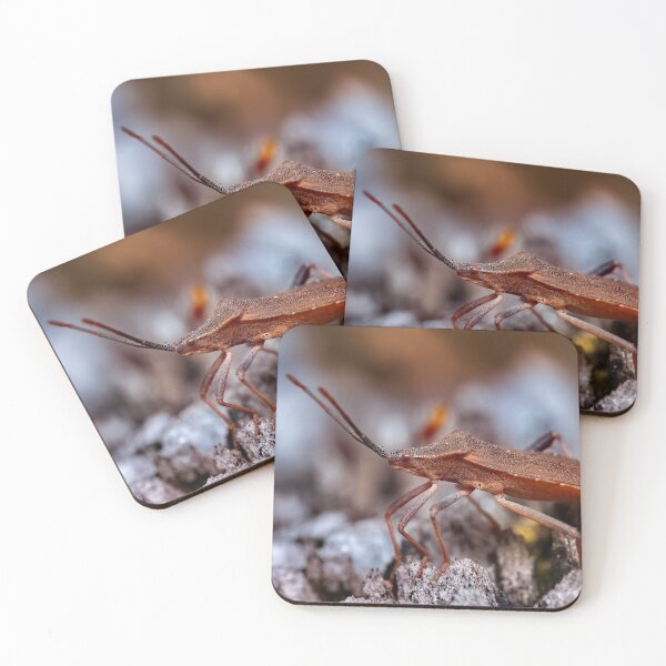 Item preview, Dock bug on a log macro photo designed and sold by hendrikspix.