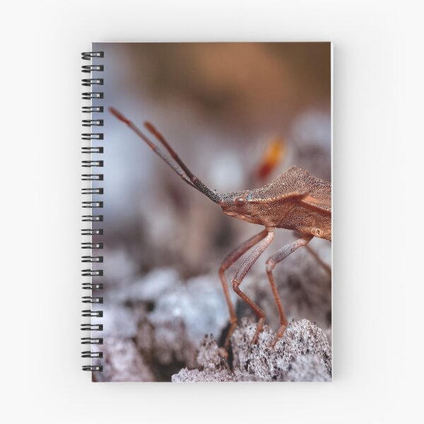 Item preview, Dock bug on a log macro photo designed and sold by hendrikspix.
