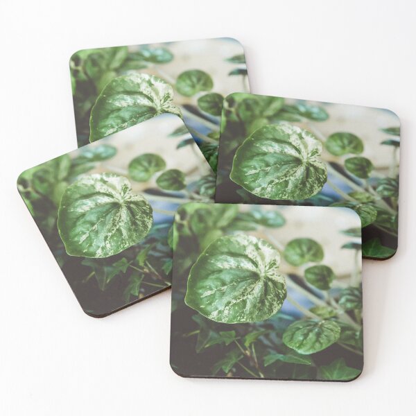 Item preview, Green Lover's Plant Paradise designed and sold by TheLush.
