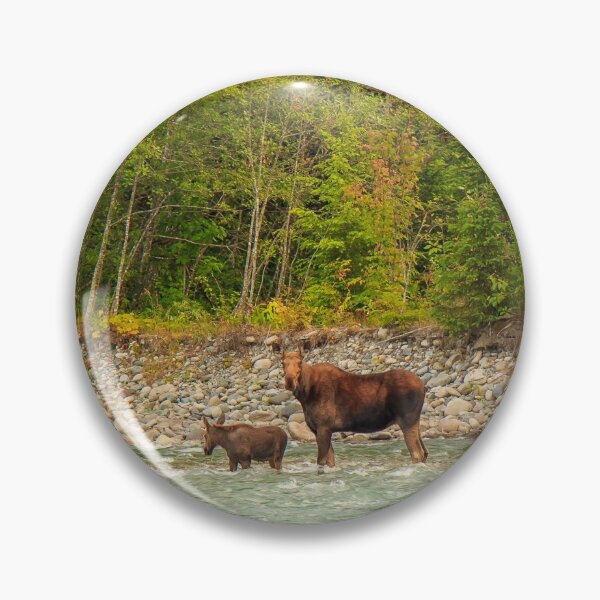 Item preview, Mother Moose and her calf trying to cross a fast flowing glacial blue river in British Columbia, Canada. designed and sold by SnapTPhotograph.