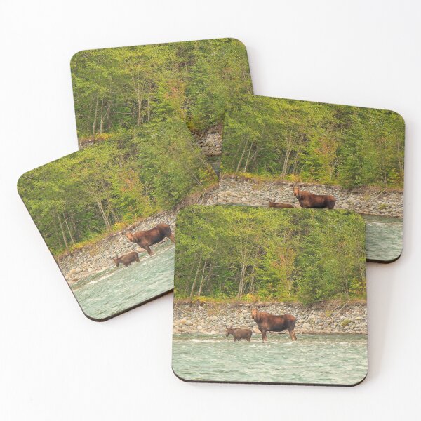 Item preview, Mother Moose and her calf trying to cross a fast flowing glacial blue river in British Columbia, Canada. designed and sold by SnapTPhotograph.