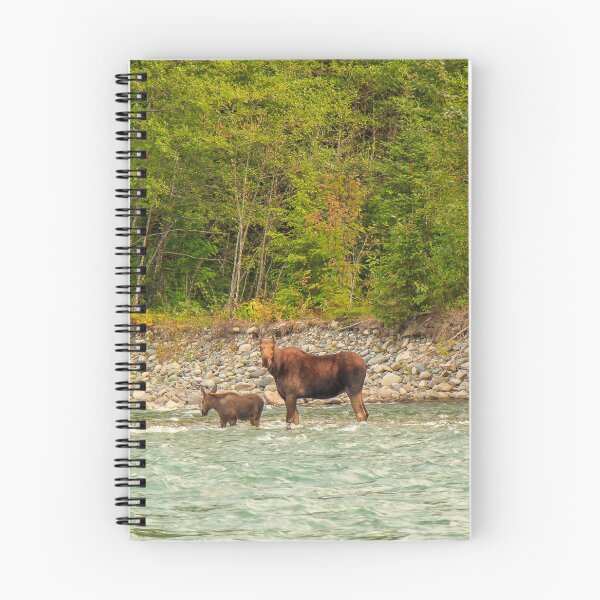 Item preview, Mother Moose and her calf trying to cross a fast flowing glacial blue river in British Columbia, Canada. designed and sold by SnapTPhotograph.