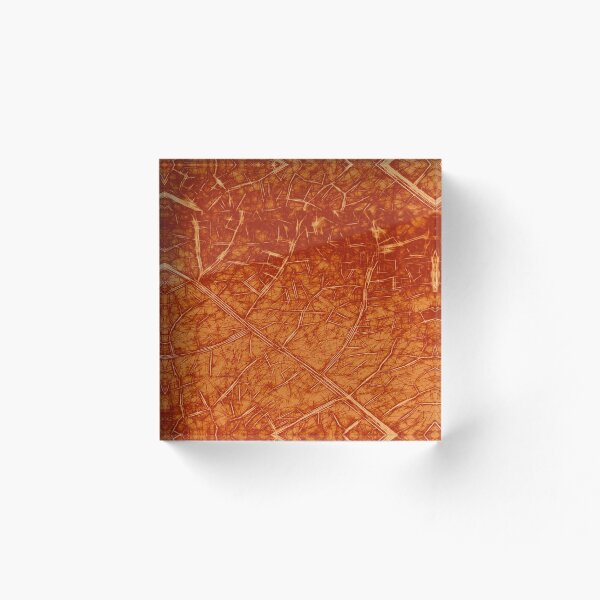Aperçu de l'œuvre Structure végétale luxueuse - orange flamboyant créée et vendue par SulkaCreative.