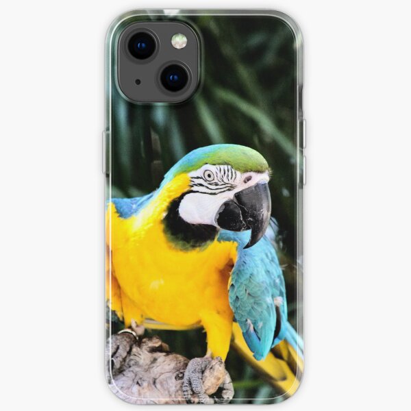 Blue-and-yellow macaw iPhone Soft Case