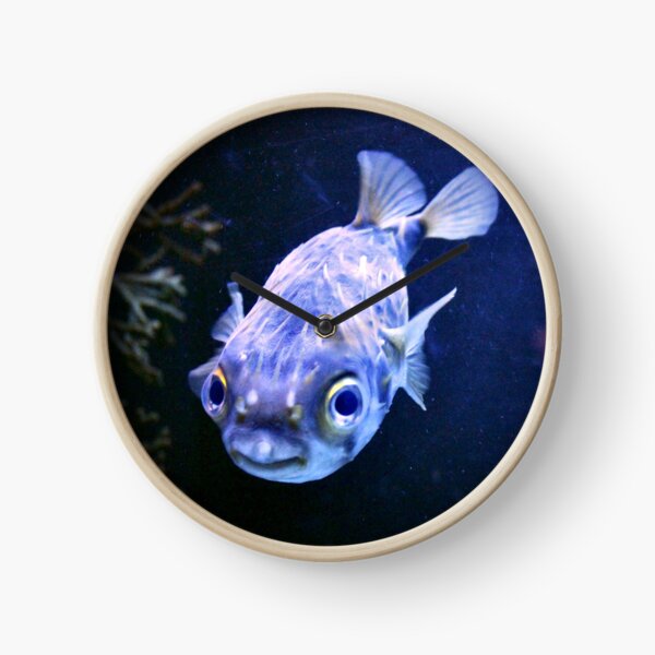 Little blue puffer fish Clock