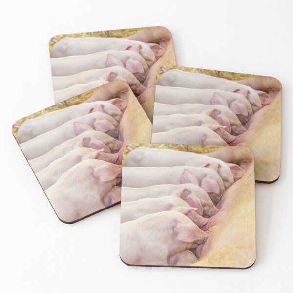Item preview, Pigletts feeding designed and sold by Dalyndigital Photography.