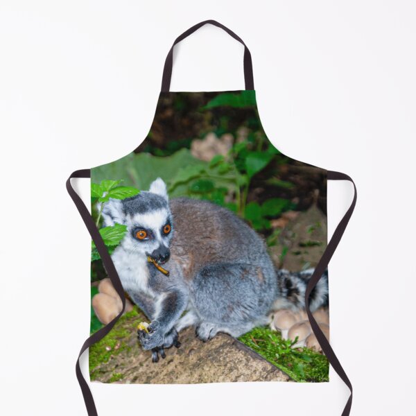 Item preview, Young Ring-tailed Lemur in woodland designed and sold by Dalyndigital Photography.
