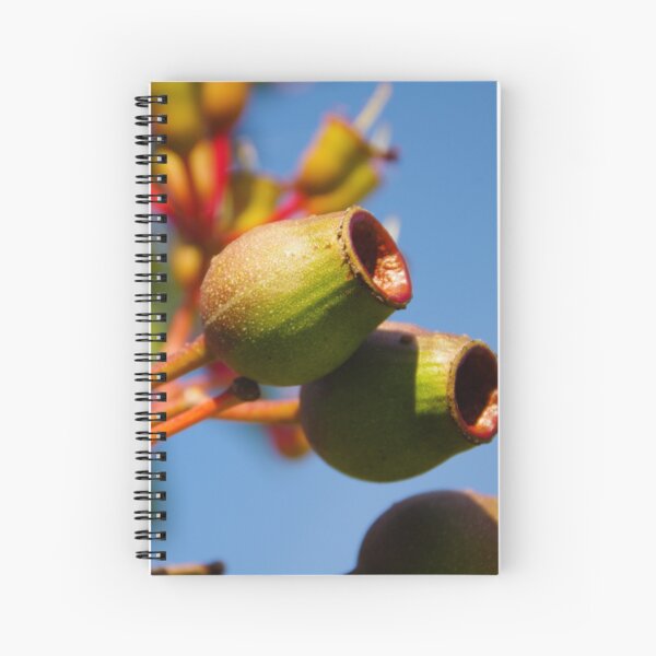 Item preview, Gumnuts designed and sold by TCPhotoStore.