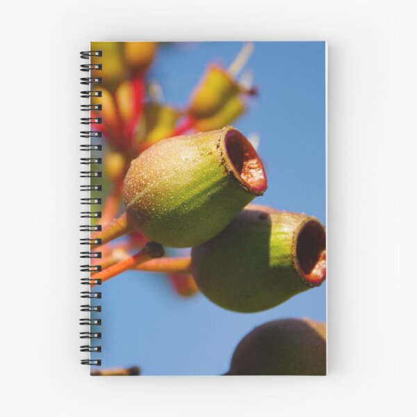 Item preview, Gumnuts designed and sold by TCPhotoStore.