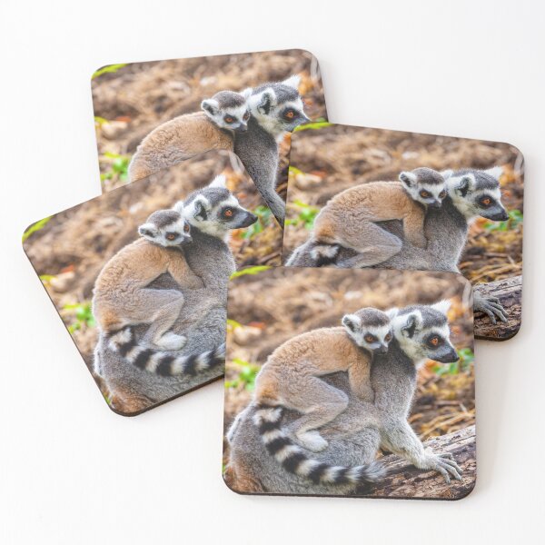 Item preview, Mother and baby Ring-tailed Lemur designed and sold by Dalyndigital Photography.